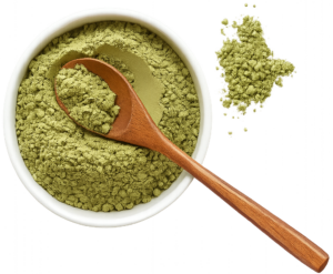experience coloration vegetale